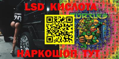 ПСИЛОЦИБИНОВЫЕ ГРИБЫ Краснодар
