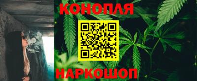 ПСИЛОЦИБИНОВЫЕ ГРИБЫ Краснодар
