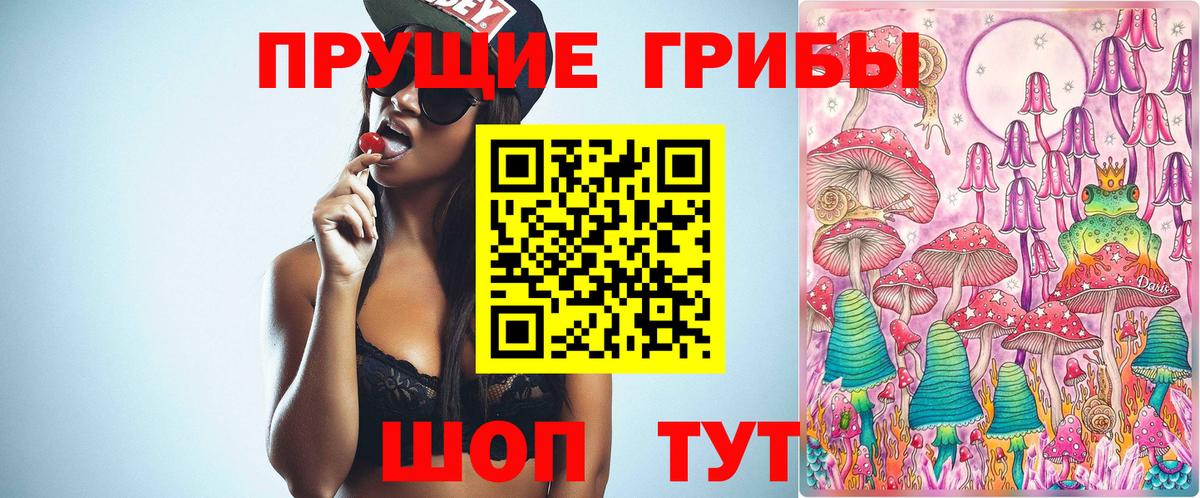 МЕФ Будённовск