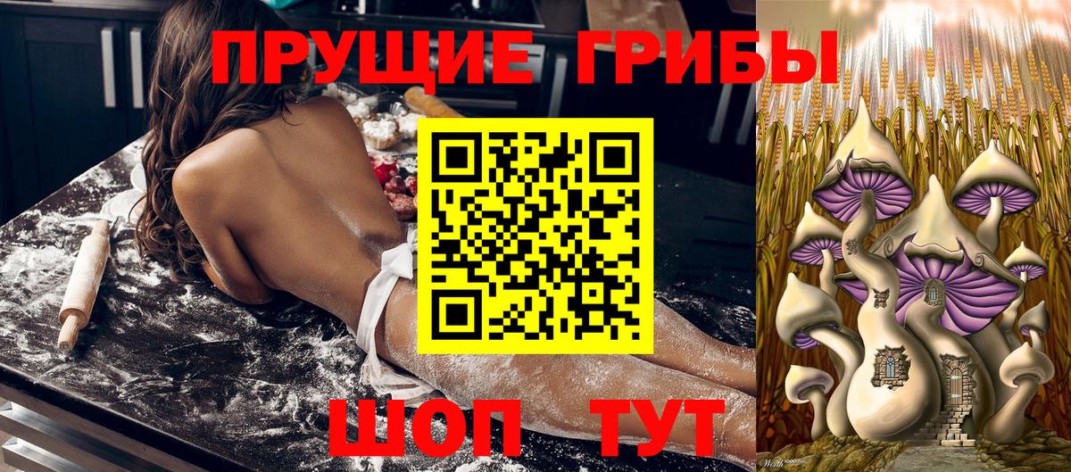 Псилоцибиновые грибы мицелий Будённовск