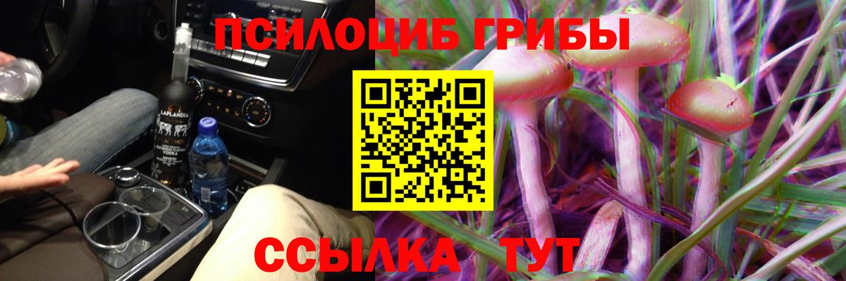 Будённовск  Галлюциногенные грибы Psilocybine cubensis  Вход с VPN 